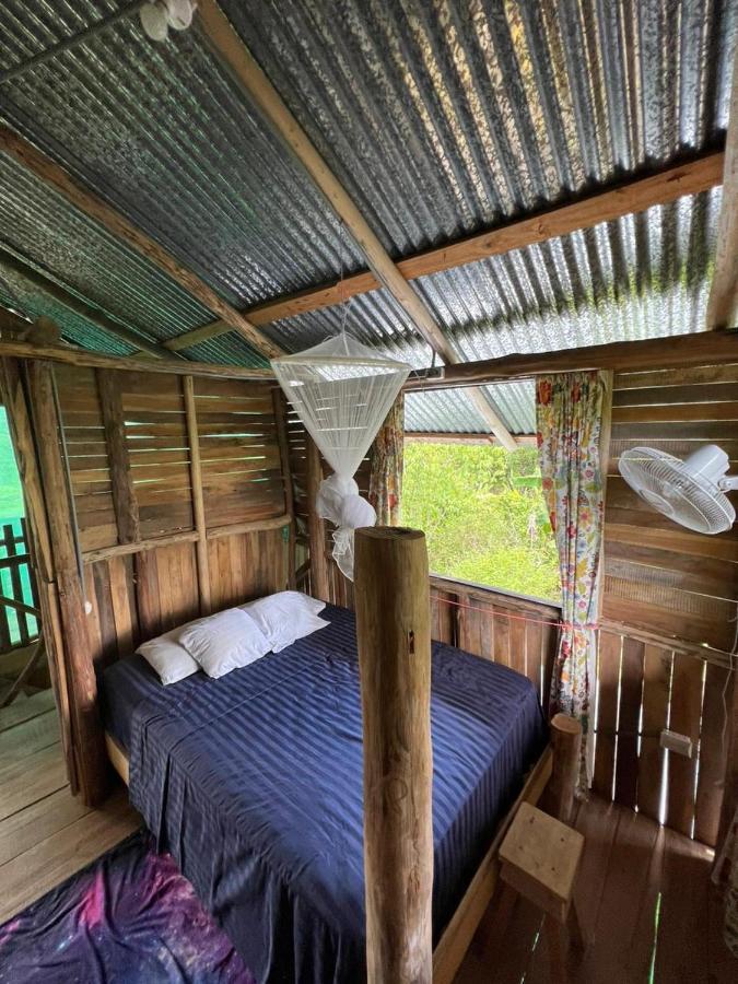 La Munequita Lodge 1 - Culture & Nature Experience Palmar Norte Εξωτερικό φωτογραφία
